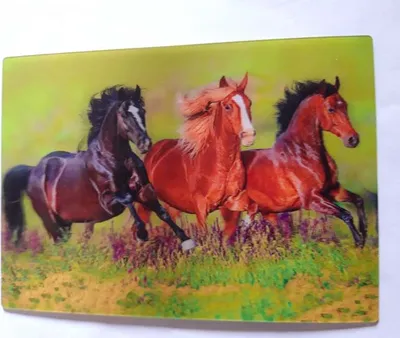 Produktbild von 3 D Ansichtskarte braune Pferde, Postkarte Wackelkarte Hologrammkarte, Tier Pferd