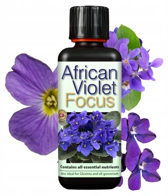 Zdjęcie produktu dla Growth Technology - Nawóz do fiołków afrykańskich 300 ml - African Violet Focus - Zbilansowany