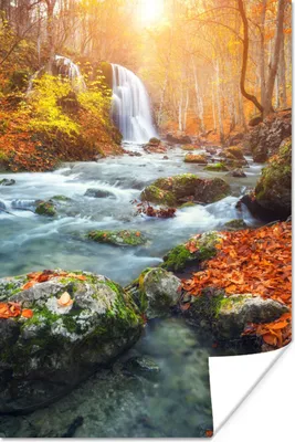 Produktbild von MuchoWow® Poster Natur - Sonne - Herbst 40x60 cm - Plakate für die Wand - Poster Babyzimmer