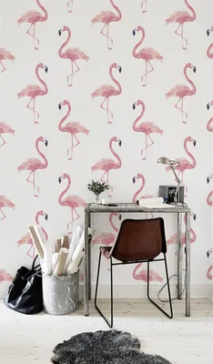 Produktbild von Coloray Fototapete 416x254 cm Vlies-Fototapete - Flamingo