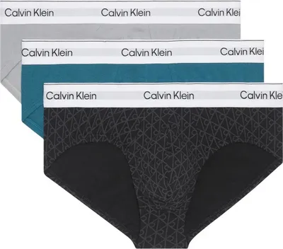 Imagen del producto de Calvin Klein Hip Brief 3pk 2vi S EU