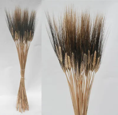Produktbild von TROCKENBLUMEN Gerste "ESPIGA" - GRÖSSE: ca.80 CM
