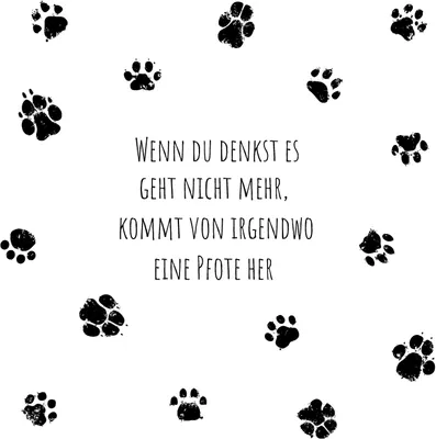 Produktbild von 20 Servietten Pfote - Hund hilft immer 33x33cm