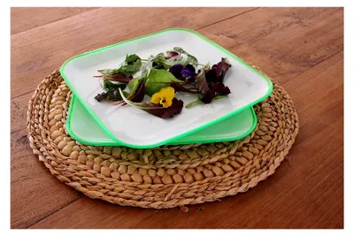 Produktbild von Eckige Salatteller im 2er Set, 24,5 x 24,5 cm (Grün)
