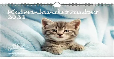 Katzenkindermagie Wandkalender 2023 A4