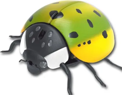 Image de Mégère électronique