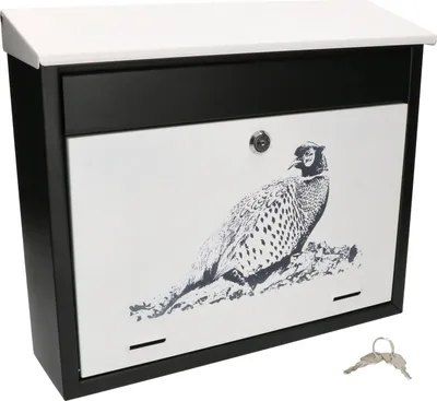 Obrázok produktu pre Poštová schránka KOTARBAU® s atraktívnou grafikou Uzamykateľná, odolná proti korózii a poškriabaniu Basant design