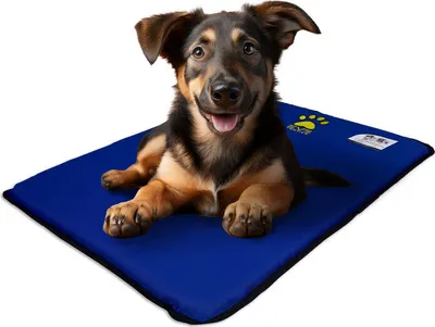 Produktbild von EVE Textile Hundematte Katzenmatte 50x70x2 cm Blau Hundebett Katzenbett Haustiermatte Beidseitig Verwendbar Atmungsaktiv Kühlend Wendbar Leicht