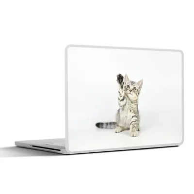 Produktbild von MuchoWow® Laptop Aufkleber Sticker Cover Kätzchen - Pfote - Weiß - Mädchen - Kinder - Jungen - Kind 30x21 cm - Sticker für Laptop - Selbstklebend