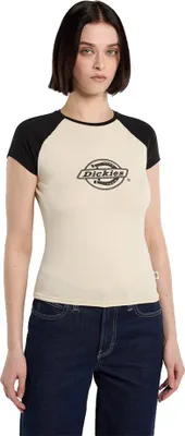 Produktbild von Dickies Forth Shaw Raglan Kurzarm-t-shirt  XS Frau  XS