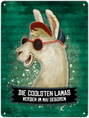 Produktbild von Metallschild XL mit Spruch: Die coolsten Lamas werden ... Schild Blechschild