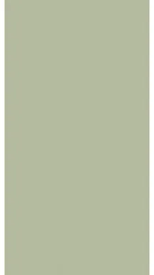 Produktbild von Duni 209668, Olive, Seidenpapier, Einfarbig, 400 mm, 400 mm, 250 Stück(e)