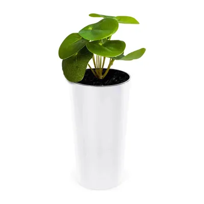 Obrázok produktu pre Kvetináč s vložkou 25 cm Dekoratívny záhradný kužeľ Kvetináč s lesklým bielym vekom Kvetináče Kvetinový kryt Deco pre izbové rastliny