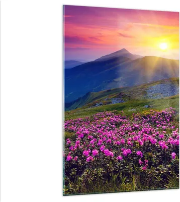 Produktbild von Bilder auf glas - Einteilig - Wiese Berge Landschaft - 80x120cm - Glasbilder - Wandbilder - Bilder - zum Aufhängen bereit - Wanddekoration aus Glas - Glas Bilder - Wandbild auf Glas - GPA80x120-2676