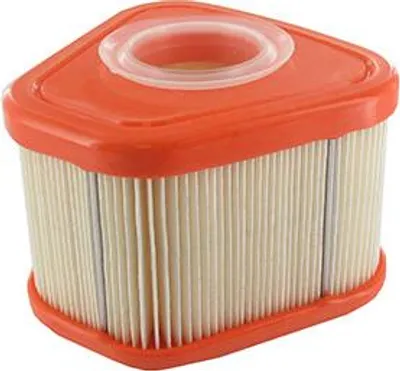 Image de Filtre à air pour moteur Briggs & Stratton, compatible avec les séries : 115p02, 115p05, 123p02, 123p07, 123p0b, 123p32, 125p02 - Or