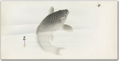 Produktbild von Coloray Bild aus Leinwand 120x60 Leinwand Dekoration - Tiere Koi-Fische