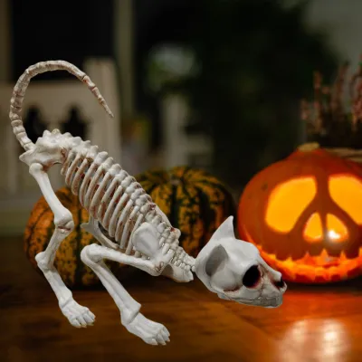 Produktbild von Halloween Dekoration realistisch aussehende dekorative Verbesserung der Atmosphäre Plastik Horror Katze Skelett Halloween Ornament für Zuhause