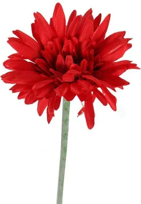 Immagine prodotto di Gerbera decorativa rossa 55 cm - Fiore artificiale di alta qualità