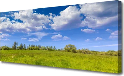 Produktbild von Tulup Leinwand-Bilder 125x50 Wandbild Canvas Kunstdruck Wiese Gras Landschaft