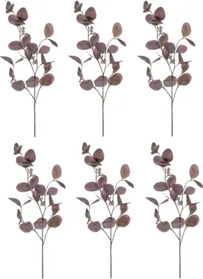 Produktbild von 6er Set künstliche Eucalyptus Zweige H. 73cm lila Emerald Blätterzweige