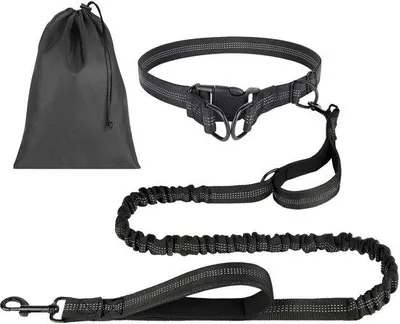 Produktbild von Famanu Handsfree Joggingleine für Hunde, doppelte Handgriffe und reflektierende Nähte - bis 50 kg