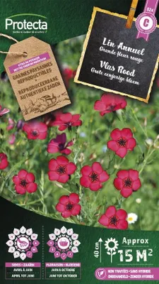 Productafbeelding van Protecta Bloemen zaden: Vlas Rood | Linum grandiflorum