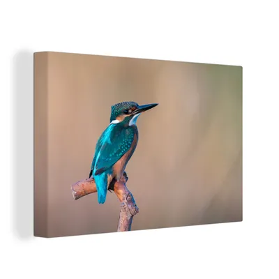 Zdjęcie produktu dla OneMillionCanvasses® - Obrazy na płótnie - 150x100 cm, Zimorodek - Portret - Gałąź, grafika ścienna Dekoracja ścienna