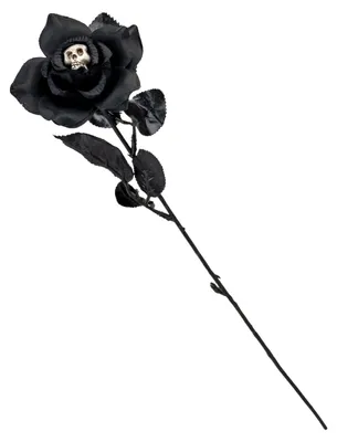 Produktbild von Schwarze Gothic Rose mit Totenkopf in der Blüte, KI-generiertes Bild