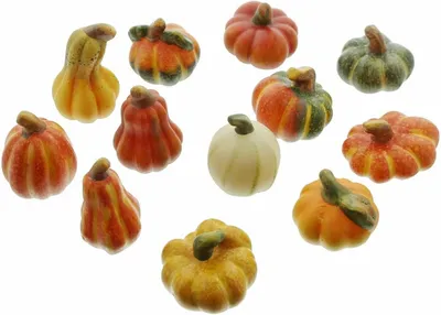 Produktbild von Kürbisse, Set mit 12 Stück, Keramik, mehrfarbig, Höhe 4-8 cm