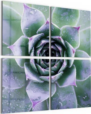 Produktbild von DEQORI Glasbild Echtglas 4x50x50 cm 'Taufrische Symmetrie' Wandbilder XXL groß