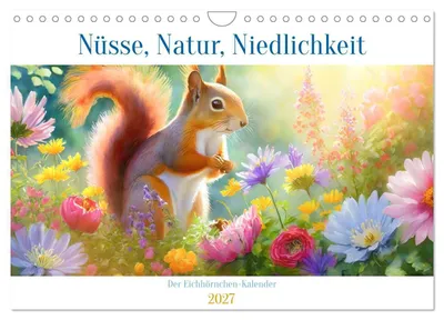 Produktbild von Der Eichhörnchen-Kalender (Wandkalender 2027 DIN A4 quer), CALVENDO Monatskalender