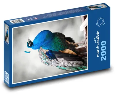 Zdjęcie produktu dla martinpuzzle - Puzzle 2000 - Páv