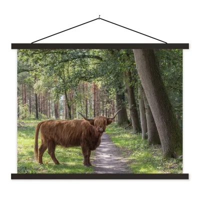 Produktbild von MuchoWow® Textilposter Schottischer Highlander - Kröte - Baum 40x30 cm mit schwarzem Rahmen - Dekorationen
