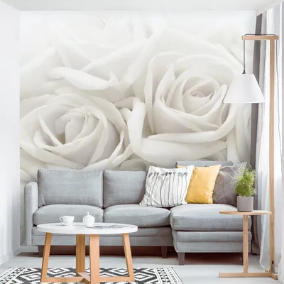 Produktbild von Fototapete Blumen - Vliestapete - Bildtapete UV-beständig Rose weiss Motiv Wandtapete geruchsfrei