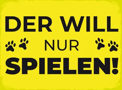 Produktbild von vianmo Holzschild 30x40 cm Hund will nur spielen Tier Haustier