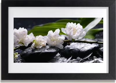 Produktbild von Bild 30x20 MDF-Rahmen Wandkunst Blume Steine