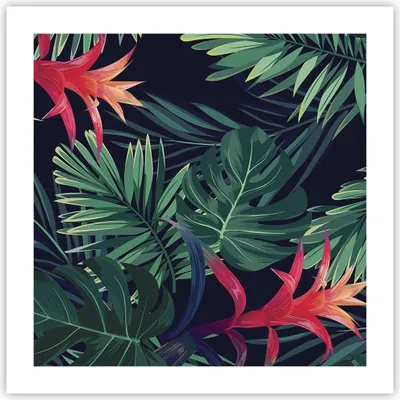 Produktbild von Poster - Poster ohne Rahmen - Exotisch Blumen Blätter - 50x50 cm - Wand Bild - Wanddeko - Wandbilder - Kunstposter - Wandposter - Bilder - Kunstdruck - Wanddekoration - Wandbild - P2XAC50x50-4308