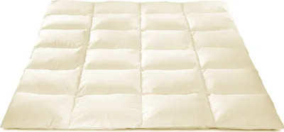 Produktbild von Natürliche, Baumwolle, Decke Bettdecke 100% Daunen, 135/200, 2,0 kg, beige