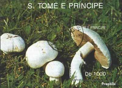 Produktbild von Briefmarken Sao Tome e Principe 1992 Mi Block284 (kompl.Ausg.) gestempelt Pilze
