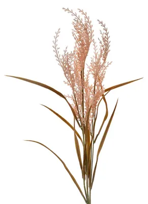 Image de Clayre & Eef Fleur artificielle 88 cm Beige Plastique