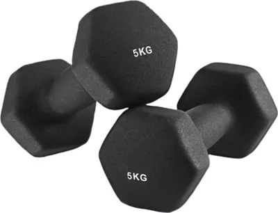 Zdjęcie produktu dla Zestaw 2 sztuk hantli Rootz – hantle ręczne – obciążniki do ćwiczeń – zajmujące mało miejsca – 2 x 5 kg – ergonomiczny uchwyt – sześciokątny kształt