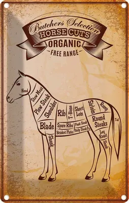 Produktbild von vianmo Blechschild 18x12 cm Pferd Horse cuts Organic Metzgerei Tier Haustier