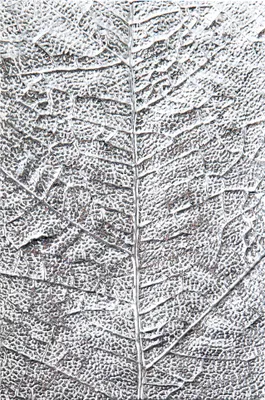 Produktbild von Sizzix 3D-Prägeschablone "Leaf Veins"