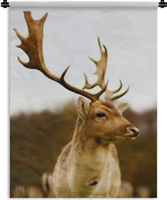 Produktbild von MuchoWow® Wandteppich Wandbehang Damhirsch - Wald - Herde - Tiere - Natur 90x120 cm Tapisserie Dekoration Wandtuch - Wanddeko