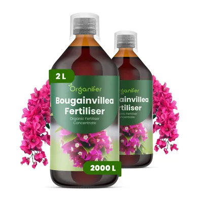 Obrázek produktu pro Bougainvillea Tekuté Hnojivo 2x1 L – 2-1-8 NPK – Pro Kvetoucí Rostliny – Pro Bujné Květy & Silné Výhonky – Podporuje Kořeny & Vitalitu – Organifer