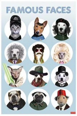 Image de Famous Faces - Takkoda - 61x91,5cm - Affiche Poster