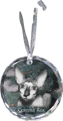 Produktbild von Cornisch Rex - Kristallkugel mit Foto, Katzenfoto im Kristall, personalisierter Weihnachtsbaumanhänger von Art-Dog.