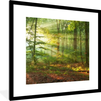 Produktbild von MuchoWow® Gerahmtes Poster Sonne - Wald - Bäume - Natur - Herbst 40x40 cm - Poster mit Schwarzem Bilderrahmen Wandposter Rahmen Foto Bilder - Poster - Plakat im Rahmen