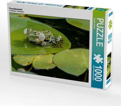 Produktbild von Calvendo Froschkonzert 1000 Teile Puzzle quer 640x480mm, Becker Thomas; 7331433