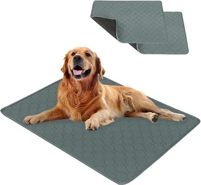 Produktbild von Famanu Waschbare Trainingsunterlagen für Welpen - Schnell absorbierende Urinunterlage - 70 x 50 cm - 2 Stück - Grau - M